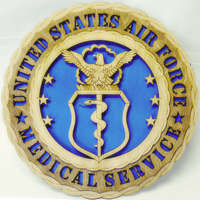 Air Force Medical Service